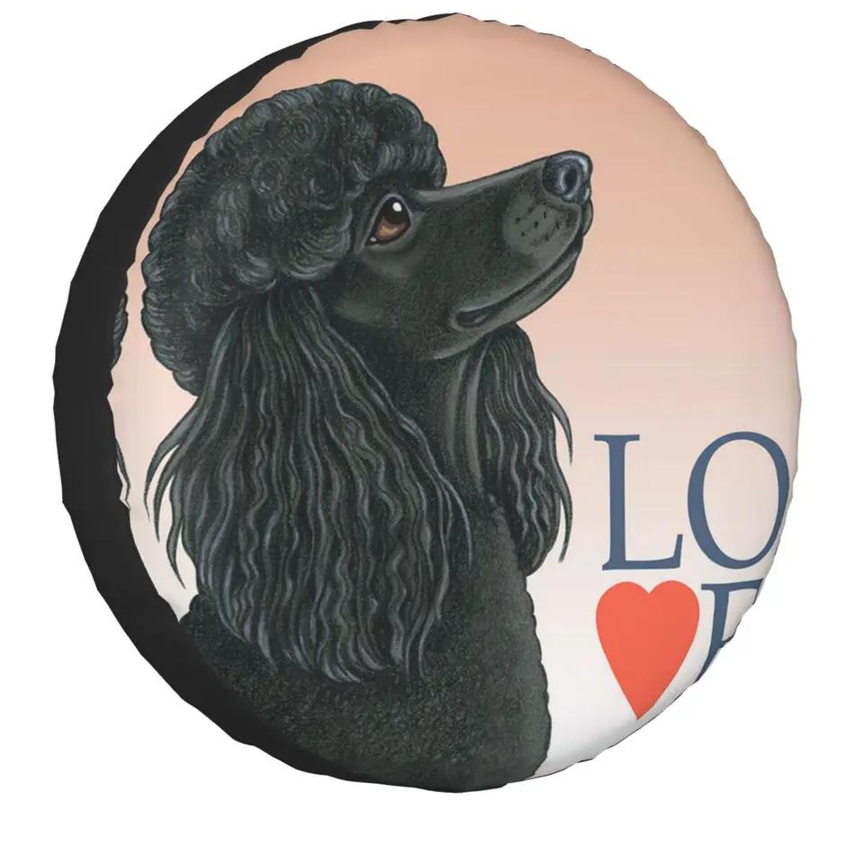 Ŀ Ǫ    Ÿ̾ Ŀ 14 ġ 15 ġ 16 ġ 17 ġ, , , , Pudel, Caniche